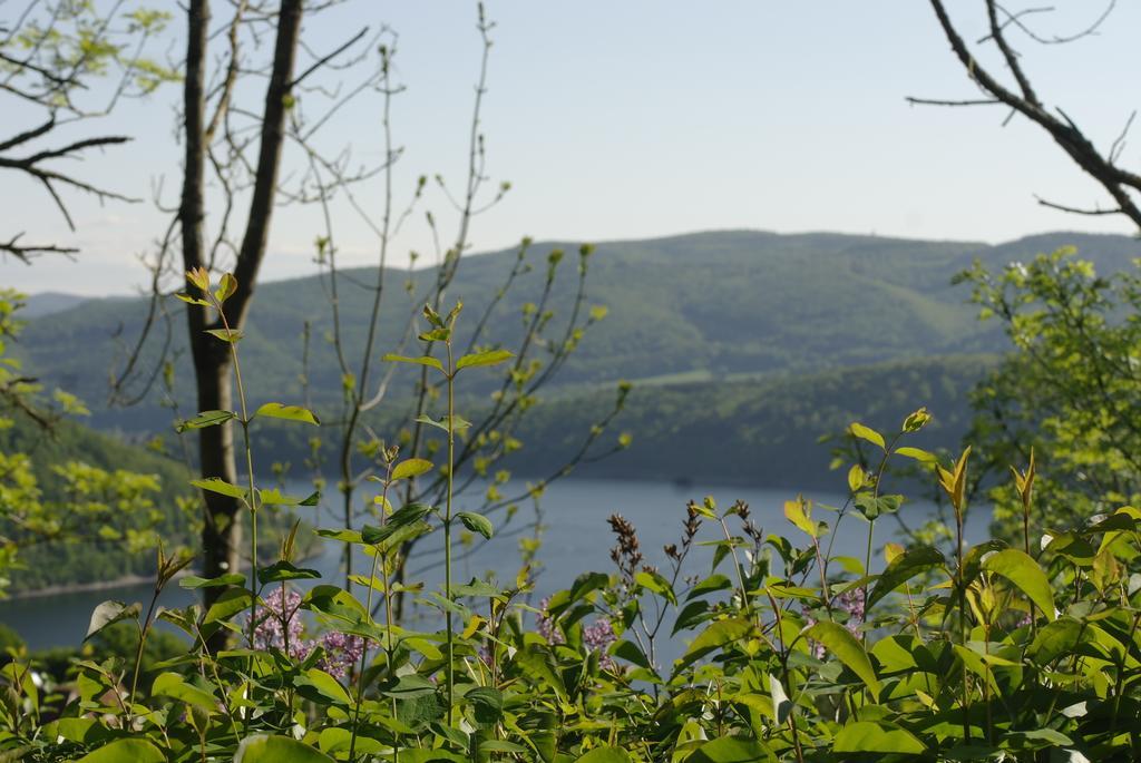 Haus Blick Am Edersee 瓦尔德克 客房 照片